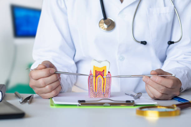 Best Emergency Care for Gum Disease in Union Hall, VA